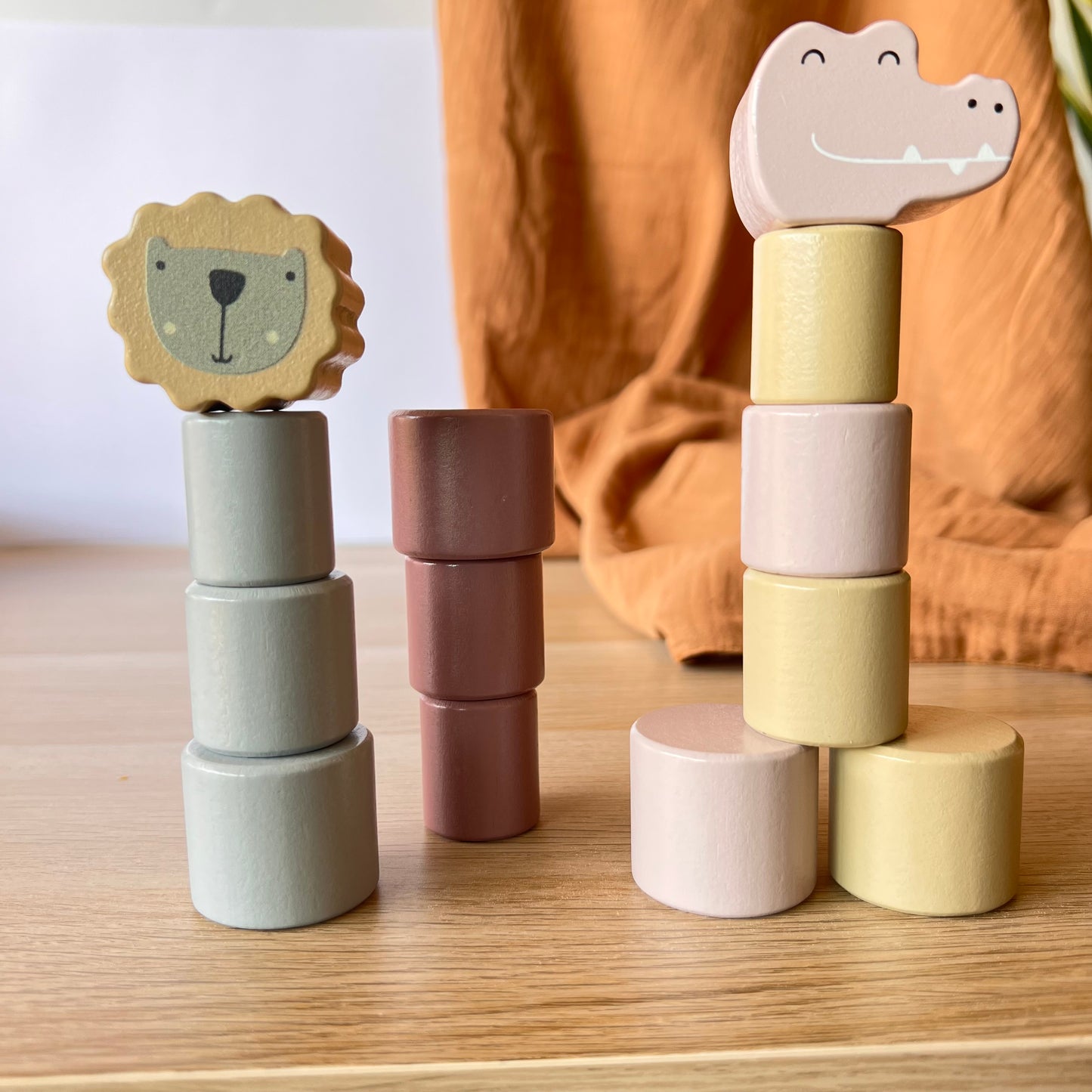 Mágico Arcoíris de Equilibrio